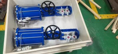 中国 Piston Operated Valve Actuator Linear Pneumatic Actuators SS304 SS316 販売のため