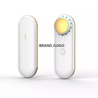 China Anti-puffiness itembeauty SKIN COLLECTION personal care ALL-IN-ONE facial massager for sale