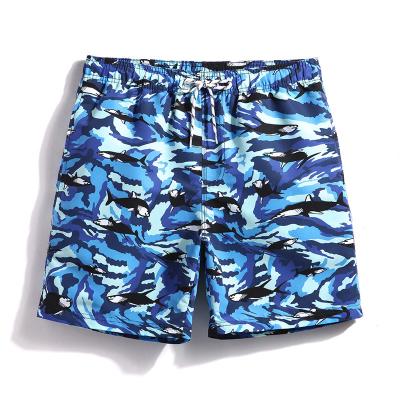 China wholesale Anti-wrinkle shorts men's summer shorts pants bright color men's casual shorts for sale