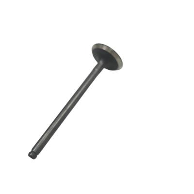 China LGH1006410064 Engine Rolling Valve Intake Motor Intake And Exhaust Valve For Mg6/1.8 15*7.5*3.8cm for sale