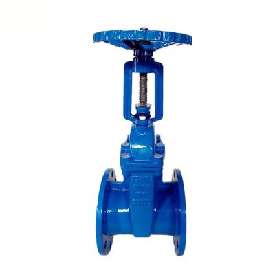 China Stainless Steel Flanged Gate Valve Jis 10k Cast Iron Cs API6D for sale