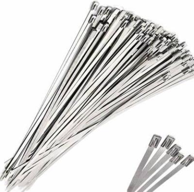 China 10*250mm 304 Stainless Steel Cable Wire Cable Ties for sale