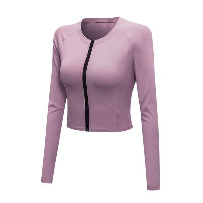 China New Style Breathable Cool Breathable Gym Wear Tight Running Training Jogging Plus Size Yoga Jackets for sale