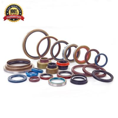 China Double Lips+Spring Tc TB DC Double Lip Skeleton Seal Spring Seal For Motorcycle for sale