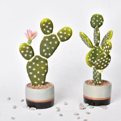 China Simulation High Realism Decoration Artificial Cactus Flowers Outdoor Green Home Plants for sale