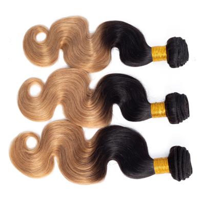 China Very High Quality 100% Silky Straight TEMPLE Wave HAIR Extensions Loose Wave Brazilian Virgin Brazilian Hair 100% Brazilian Body Wave Hair PANCHA for sale