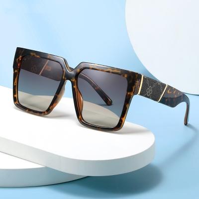 China Fashion Sunglasses Zowensyh new thick frame PC sunglasses Men's fashion frame glasses Women's personality cross border large frame sunglasses for sale