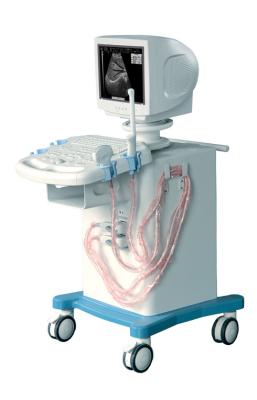 China Mobile Medical Ultrasound Machine With Trolley Pregancy Ultrasonic Scanner for sale