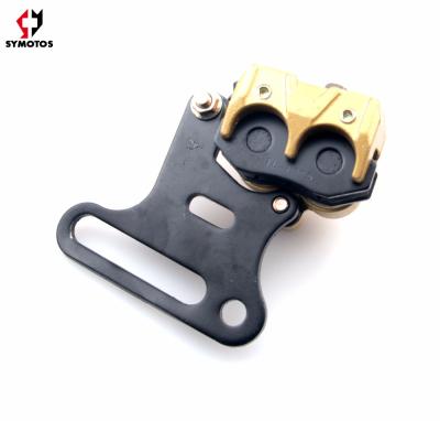 China Cast Alumium 2 Piston Brake Caliper Dirt Bike Caliper Rear Brake Caliper for sale