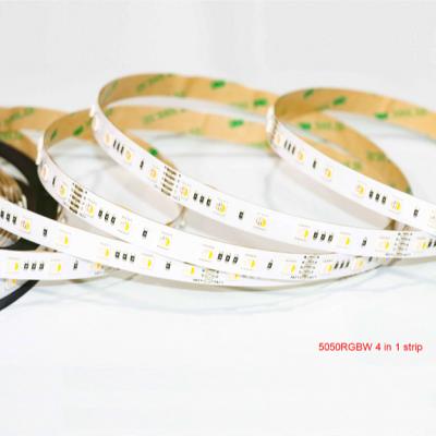 China Kluzled SMD5050RGBW LE TDC RGB+ residential warm white led strip with remote and controller led strip light for sale