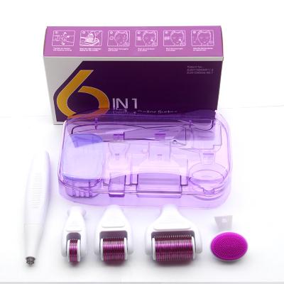 China 6 PC In 1 Needles Wide Roller Head Design Microneedle Fit Derma Roller Kit For Face Body Exfoliating for sale