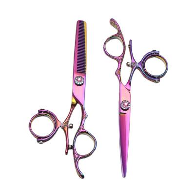 China Thinning Scissors Barber Scissors Professional Pivot Ring Cutting Scissor Texturizing Shears 6 Inch For Hairdresser for sale