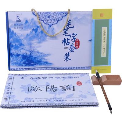 China Eco-friendly Chinese Calligraphy Thousand Times Rewritable Common Sets In Box Handwriting Brush For Beginners for sale