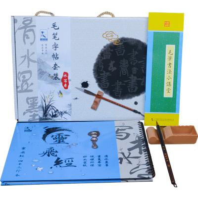 China Eco-friendly Chinese Calligraphy Set In Box With Rewritable Common Brush On Ink Bouble Side for sale