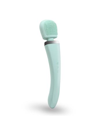 Cina Massaggiatore personale tenuto in mano ergonomico verde chiaro del corpo con la spazzola in vendita