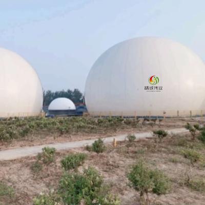 China Biogas Plant Produces Which Gas Biogas Storage Balloon holder for sale