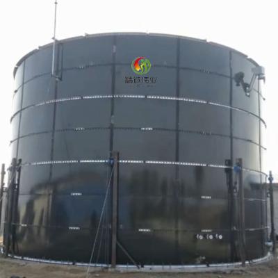 Cina Costo di produzione del biogas di digestione anaerobica di produzione del biogas in vendita