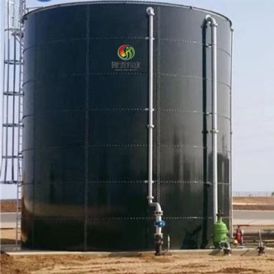 China Modern Biogas Plant Biogas Production From Chicken Manure for sale