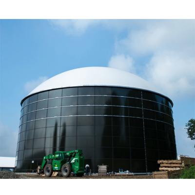 China Anaerobic Gas Extraction Biogas Digester Restaurant Kitchen Waste Treatment for sale