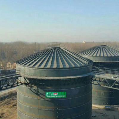 Cina Sistema anaerobico domestico del digestore del biogas di progetto dell'impianto di biogas di EGSB in vendita