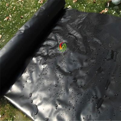 Chine 60 polyéthylène Geomembrane de mil 80 Mil Hdpe Liner High Density à vendre