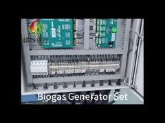 Biogas generator