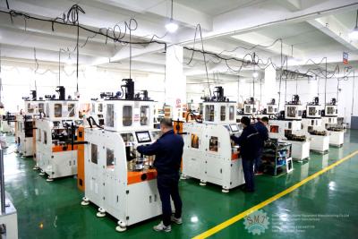 China Full Automatic Motor Assambely Stator Production Line Motor Technical Consulting Service for sale