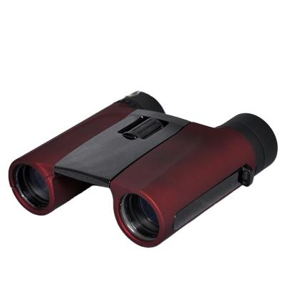 China Bak4 Outdoor Travel Binoculars 10x25 Waterproof Handheld Night Vision Binoculars for sale