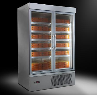 China Single-temperature plug in glass door freezer for refrigeration equipment fridge for supermarket for ice cream and freezer for sale