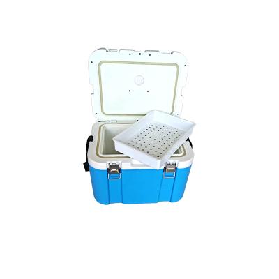 China Factory 9l Waterproof Portable Small Capacity Fish Cooler Box Food Grade Cooler Camping Box for sale