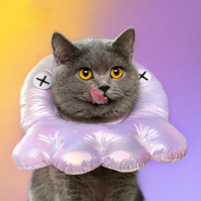 China MewooFun Stocked Wholesale Customized Elizabethan Cat Cone Collar Soft Cat Neck Collar for sale