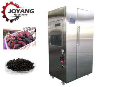 China De Ventilator van de de Drogende Machine Hete Lucht van de Warmtepompmoerbeiboom voor Fruit Te koop