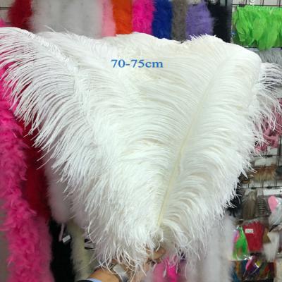 China Wedding White Ostrich Feathers For Weddings 70-75cm for sale