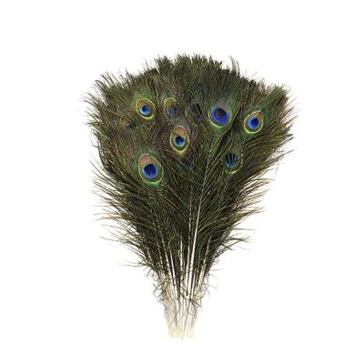 China Natural Feather Peacock Feathers For Sale IN STOCK for sale