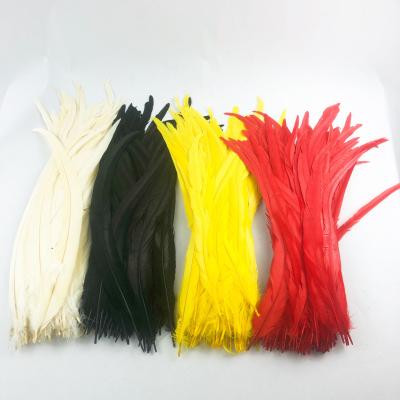 China White festival tail feathers large or rooster dyed for sale