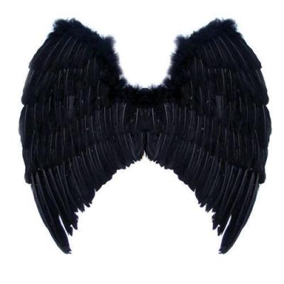 China Halloween BLACK COLOR Large Feather Angel Wings For Adults for sale