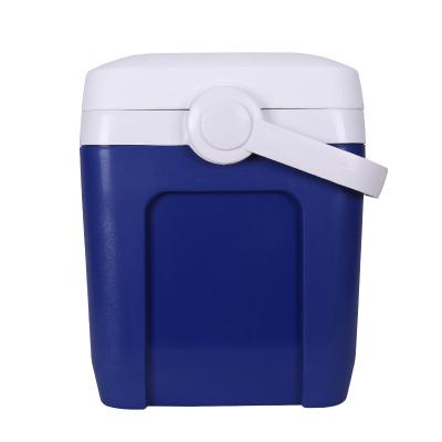 China Waterproof Hard Reusable Plastic Insulin Sided Injection Cooler Coolers for sale