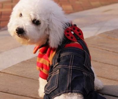 Cina Le tute del Otterhound 100%/predatore del poliestere hanno personalizzato i vestiti dell'inverno del cane e l'abito caldi del cucciolo in vendita