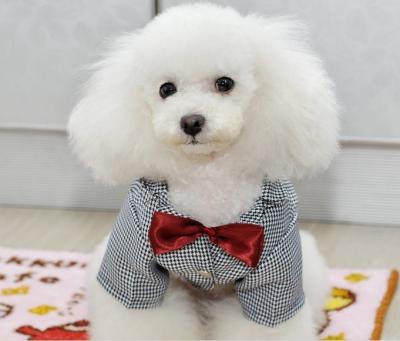 China Kundengebundener annehmbarer Haustier-Hochzeitsanzug, Hundeformelle kleidung mit roter Fliege für Frühling zu verkaufen