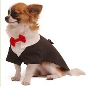 China El tres-botón hermoso rayó el tux del perro con el detalle del cuello y la pajarita roja para el caniche en venta