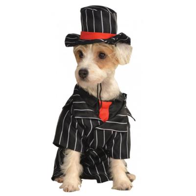 China X Large Mob Dog Formal Wear Costume with hat for wedding custom made for sale