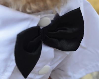 China Customized White Black Boy Dog Pet Wedding Party Dress Jackets OEM / ODM for sale