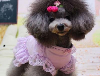 China Medium Dog clothes shih tzu puppies Dress Cute Purple Lace Tutu Tulle for sale