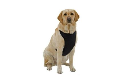 China Warming or Cooling medium dog clothes golden retriever personalized for sale