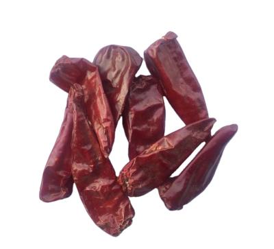 China 2021 the new dry season Yidu dried chili pods bulk export factory for sale