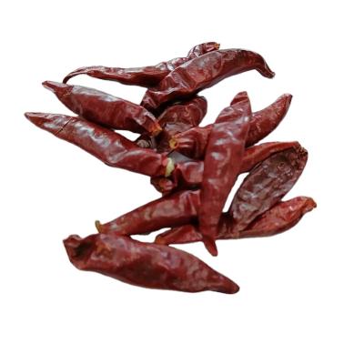 China 100% Natural Premium Tianjin Dried Chilli Whole 3-7CM Chaotian Red Chilli Pods for sale