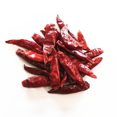 China 100% Tianying Natural Dried Red Chilli Pepper Whole For Export for sale