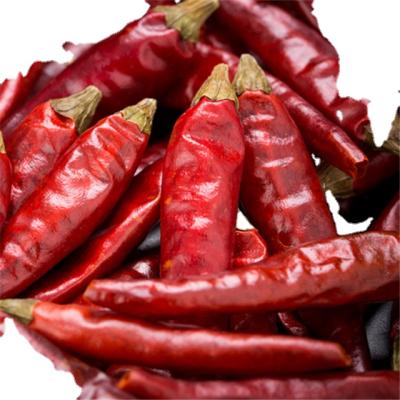 China xiaomila dry red chili pepper packed in 5lb vacuum bag for sale