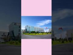 Company Spring New Video 2025