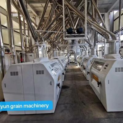 China 120tons plant of complete wheat flour mill machine plant for sale